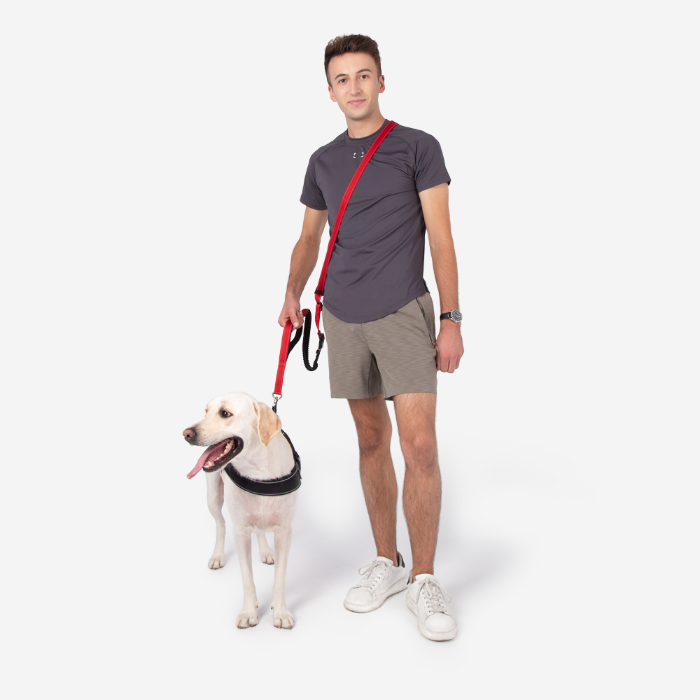 Laisse pour chien mains libres multifonction avec ceinture de sécurité