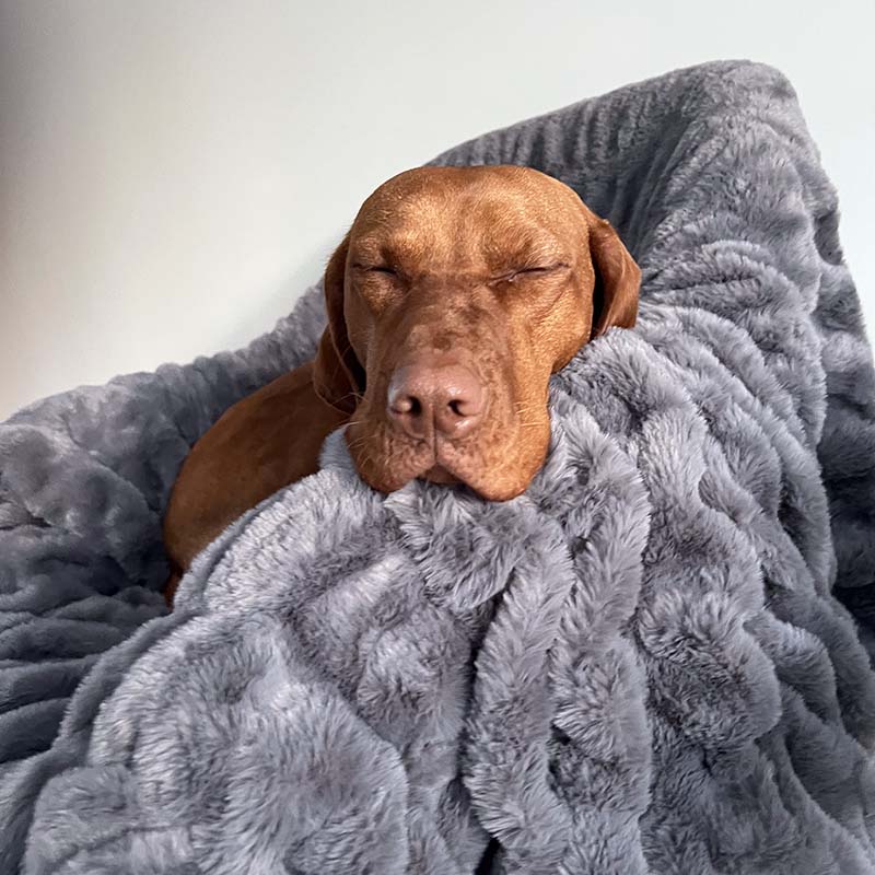 Couverture de luxe super douce en fausse fourrure et velours pour animaux de compagnie et humains